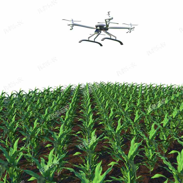 田間無人機(jī)式植物高通量表型采集分析平臺