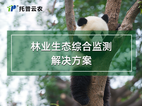 林業(yè)生態(tài)綜合監(jiān)測解決方案