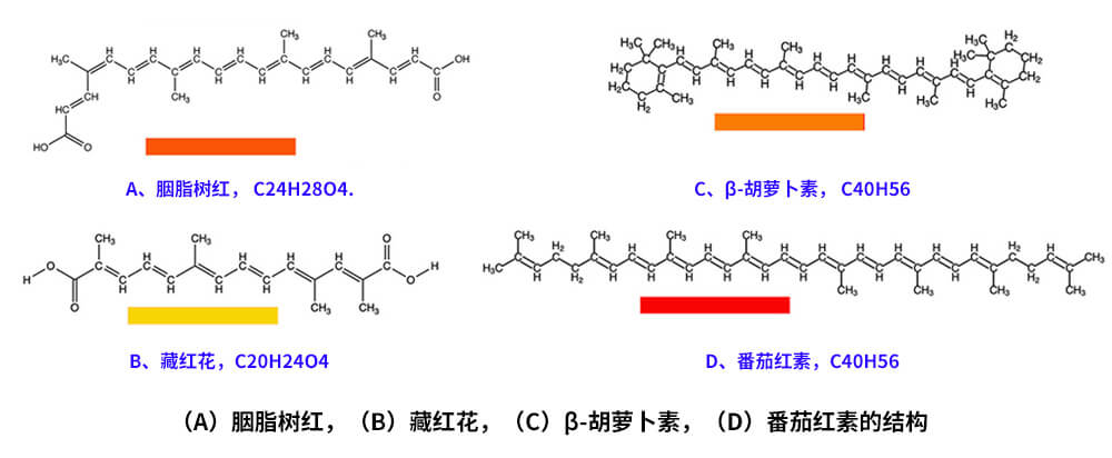 藏紅花、胭脂樹紅、β-胡蘿卜素、番茄紅素的化學(xué)結(jié)構(gòu)